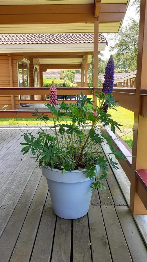 Lupine Lodge Gramsbergen Exterior photo